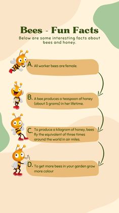 the bees fun fact is shown in this info sheet for kids to learn how to use them