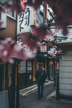 a man walking down an alley way with cherry blossoms on the trees in front of him