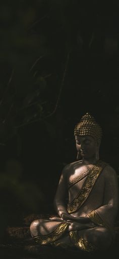 a buddha statue sitting on the ground in front of some trees and bushes at night