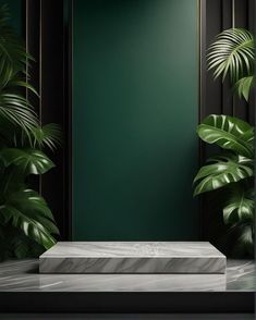 an empty room with green walls and marble steps in front of it, surrounded by greenery