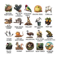 an image of different types of birds and animals on a white background with words describing them