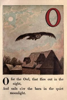 an owl flying over houses with the letter o above it