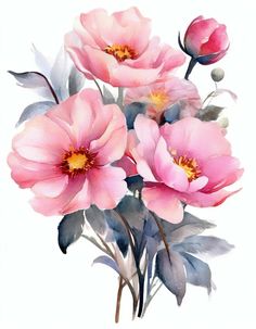 watercolor painting of pink flowers on white background