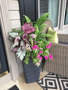 a potted plant sitting on the front porch