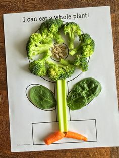 a piece of paper with broccoli and carrots cut out to look like a plant