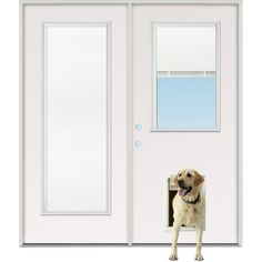 a dog standing in front of a white door