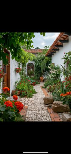 an outdoor garden with lots of flowers and plants