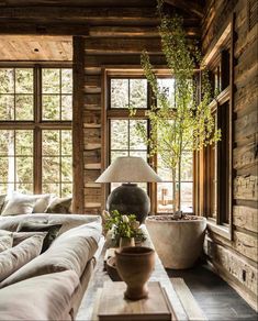 a living room filled with furniture and windows next to a plant in a pot on top of a coffee table