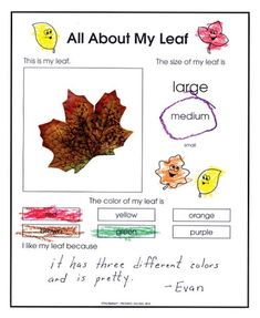 a leaf is shown with the words all about my leaf