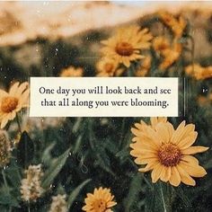 some yellow flowers with a quote on the bottom and one day you will look back and see that all along you were blooming