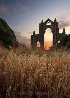 an old church sits in the middle of tall grass