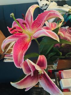 some pink flowers are in a vase on a table next to books and other items