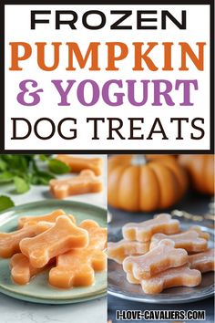 frozen pumpkin and yogurt dog treats with text overlay that reads frozen pumpkin and yogurt dog treats