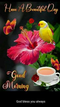 a cup of coffee and a bird on top of a pink flower with the words have a beautiful day good morning