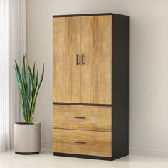 a tall wooden cabinet next to a potted plant