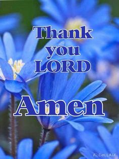 blue flowers with the words thank you lord amen