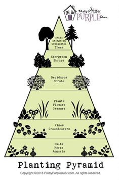 a pyramid with trees and plants on it that says planting pyramid, which is also labeled