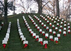 rows of headstones with red bows on them in the grass near trees and tombstones