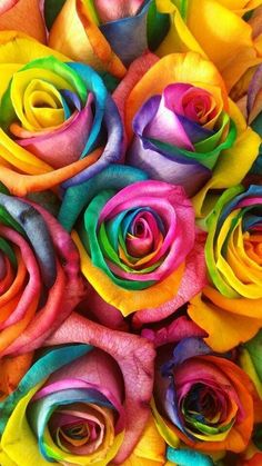 multicolored roses are arranged in the shape of a rainbow rose, as well as other flowers