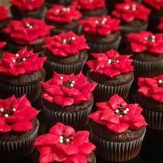 chocolate cupcakes decorated with red poinsettis and pearls are on display