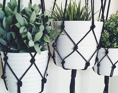 three hanging planters with plants in them