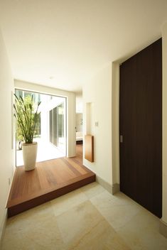 a plant in a pot sitting on top of a wooden floor next to a door