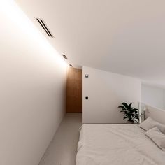 a bedroom with white walls and flooring has a plant in the corner next to the bed