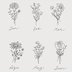 six different flowers drawn in one line