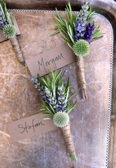 three succulents with name tags on them sitting on a metal platter