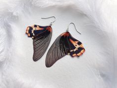 Papilio Rumanzovia Butterfly Earrings, Tropical Butterfly Wings Earrings, Mega Size Organza Butterfly Earring, Black Butterfly Earrings These Magic Earrings have a little secret: one wing bright and one wing with translucent effect! 🌸 Rumanzovia Butterfly Design 🌸 Made of silk with beautiful realistic effect 🌸 Light, at the same time gentle and noticeable, all attention on you! 🌸 Great gift for those who love Butterflies! 🌸 Ready to Ship! :) Feel free to write me if you have any questions o Handmade Black Fantasy Earrings, Organza Butterfly, Magic Earrings, Butterfly And Moth, Tropical Butterfly, Moth Earrings, Moth Design, Earrings Cool, Butterfly Anklet