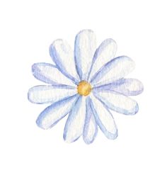 a watercolor drawing of a blue and white flower on a white background with yellow center