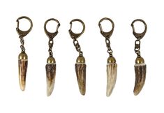 four different types of animal's teeth hanging from key chains