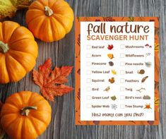 a fall nature scavenger hunt with pumpkins and leaves on a wooden table