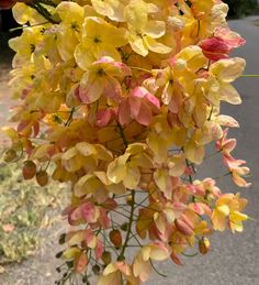 yellow and pink flowers are hanging from a pole