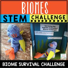 Biomes STEM Challenge The perfect challenge for students who are studying Biomes and Earth Science! This resource is part of the Earth Science (Entire) Curriculum. This resource has science, technology, engineering, and measurement activities to do with your upper elementary kids that will really... Ecosystem Stem Projects, Environmental Careers, Biomes Activities, Remote Teaching, Teaching Freebies, Geography Worksheets, Biology Classroom