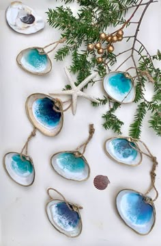 some ornaments are hanging on a tree branch with seashells and starfish in the background