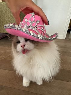 a white cat wearing a pink hat with silver sequins on it's head