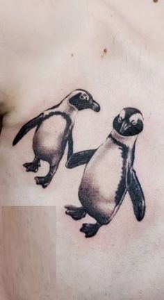 a man with two penguins on his chest