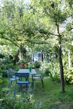 a table and chairs in the middle of a garden