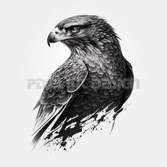 a black and white drawing of an eagle