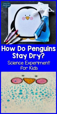 how do penguins stay dry? science experiment for kids with penguin pictures on the paper