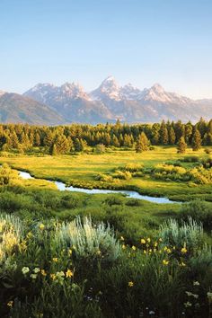 a river running through a lush green field with mountains in the backgrouund