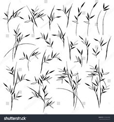 black and white bamboo plant silhouettes on a white background, set of six images