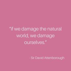 a pink background with the quote if we damage the natural world, we damage ourselves