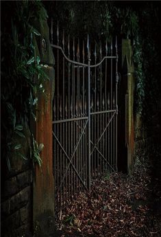 an old iron gate is surrounded by leaves and vines in the dark forest at night