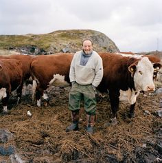 a man standing next to two cows in a field