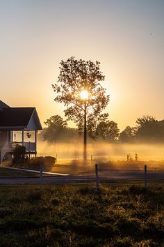 the sun is setting behind a house on a foggy morning with trees in the foreground