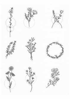 various flowers and leaves drawn in ink on paper, each with their own line work