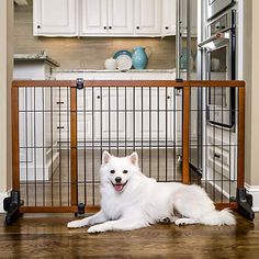 a white dog laying on the floor in front of a gated kitchen with an oven and refrigerator