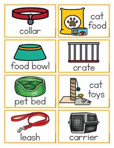 an animal themed flash card with words and pictures to describe the animals in their homes